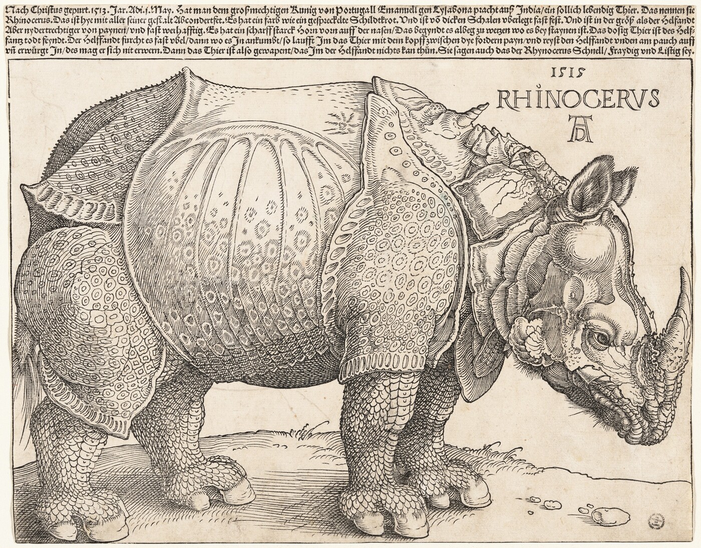 Albrecht Dürer’s 1515 Rhinoceros woodcut, with a strong outer silhouette and intricate interior marks